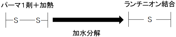 デジタルパーマはアルカリと熱の加水分解でパーマがかかります。 デジタルパーマはアルカリと熱の加水分解でパーマがかかります。