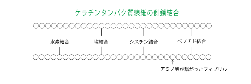 407fe685b47a64cf9ee9241027f10d8d