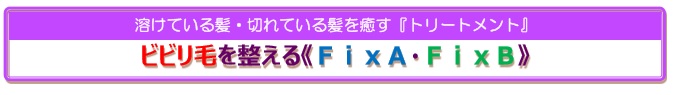 FIX1 FIX1