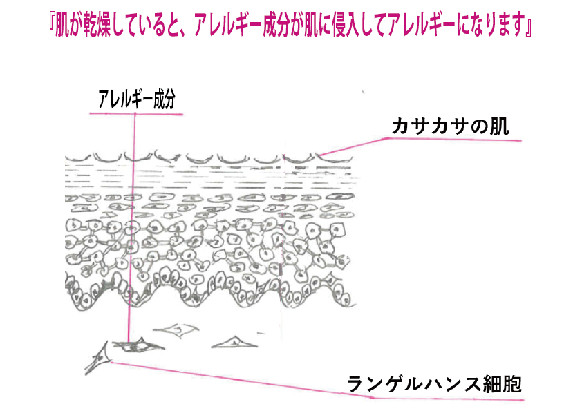 研究所HP図-1 ac2ea46b919c5990afab541350424726