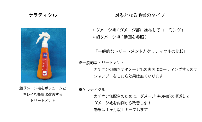 真HPミミ2023.01.06-6 b870953224e720b623b22712a7244bde1