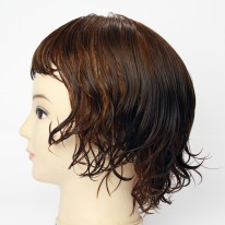 ヘアカラー毛 (乾燥毛) ヘアカラー毛 (乾燥毛)