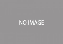 no image no-image