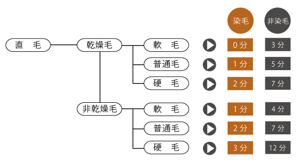 毛髪診断とタイム表